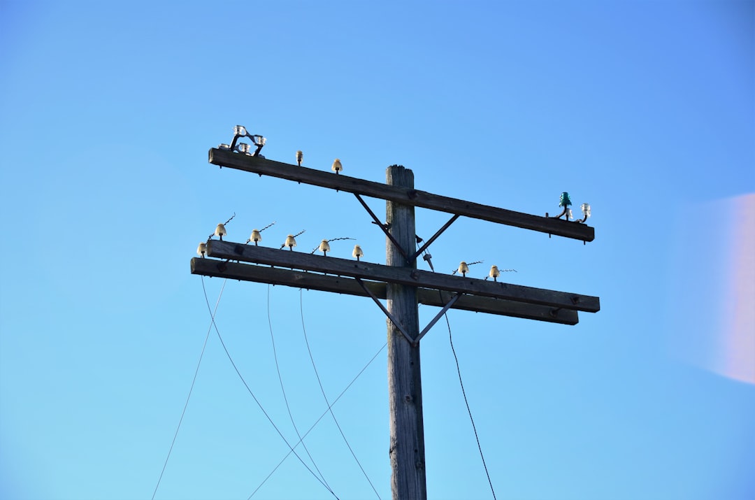 brown wooden electric post under blue sky during daytime